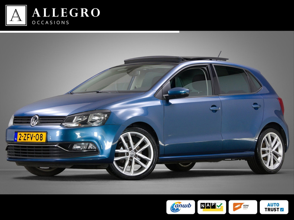 55593412